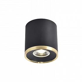 Потолочный светильник Favourite PRAKASH 3086-2C - фото и цены