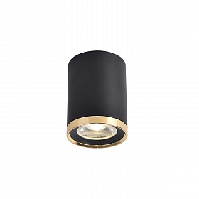 Потолочный светильник Favourite PRAKASH 3086-1C - фото и цены