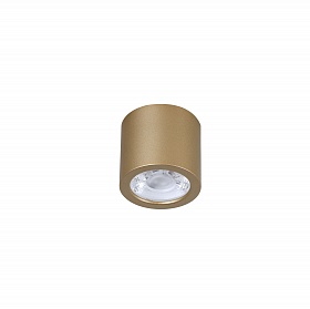 Потолочный светильник Favourite DEORSUM 2807-1C - фото и цены