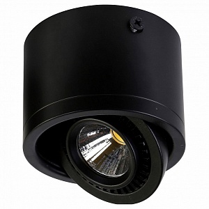 Накладной светильник Favourite Reflector 1777-1C - фото и цены