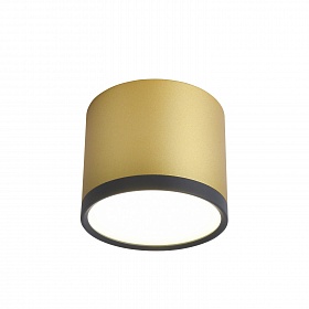 Потолочный светильник Favourite BARAL 3082-2C - фото и цены