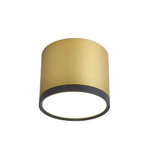 Потолочный светильник Favourite BARAL 3082-2C - фото и цены